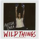 Wild Things (NuKid Remix)专辑