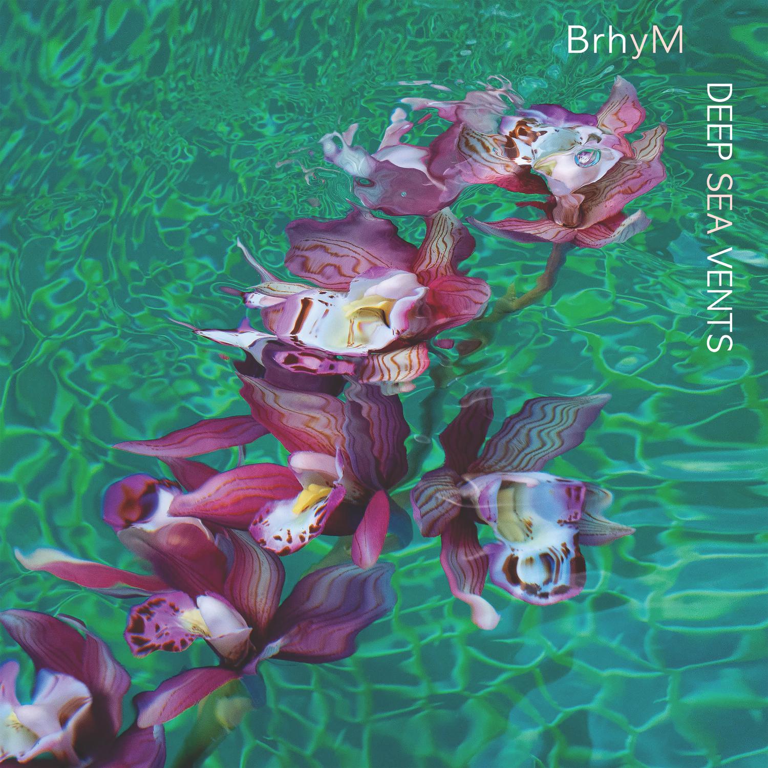 BrhyM - Platypus Wow