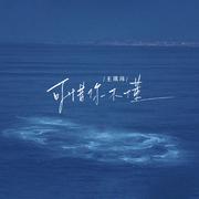 可惜你不懂专辑