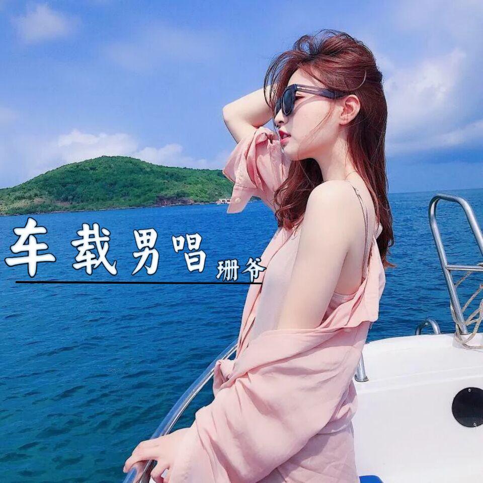 车载男唱