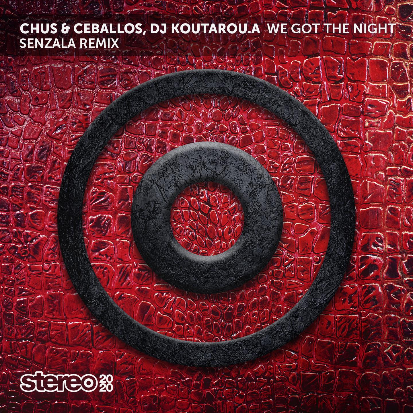 We Got the Night (Senzala Remix)