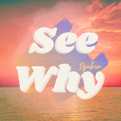 SeeWhy