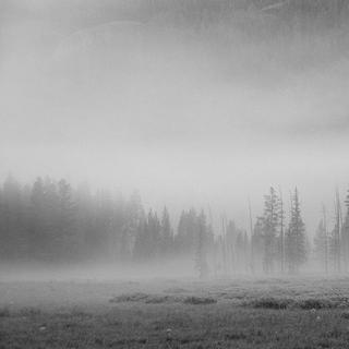 Ambient/Dub｜氛围沁心 回响织梦