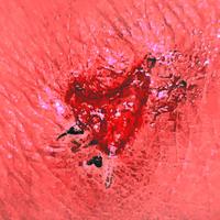 Robert Taylor - Gibberish