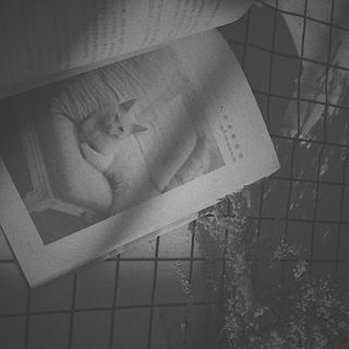 你 读 不 出 我 的 心 事