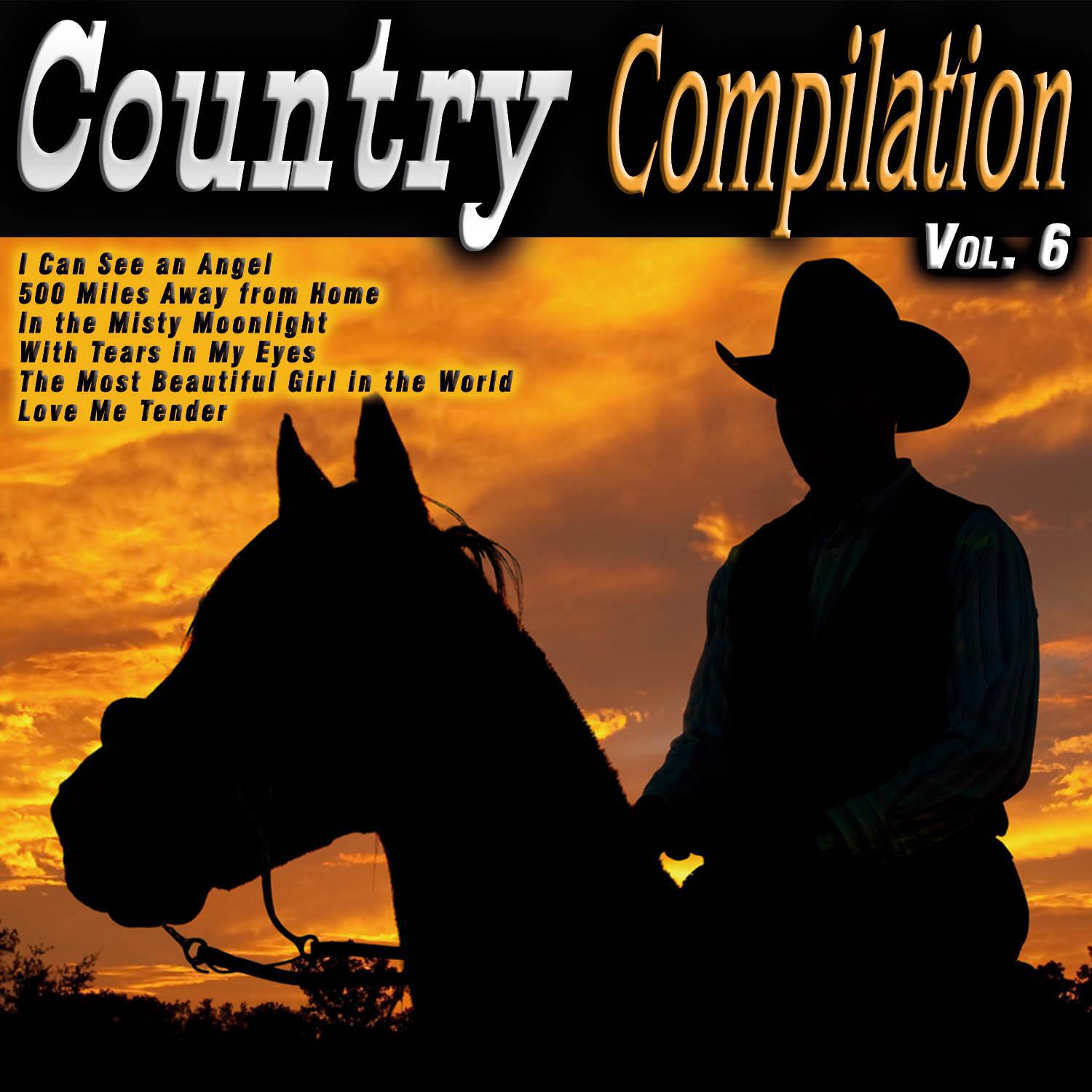 Country Compilation Vol. 6专辑