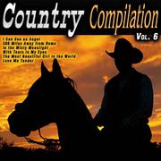 Country Compilation Vol. 6