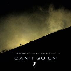 Can't Go On (Radio Edit)