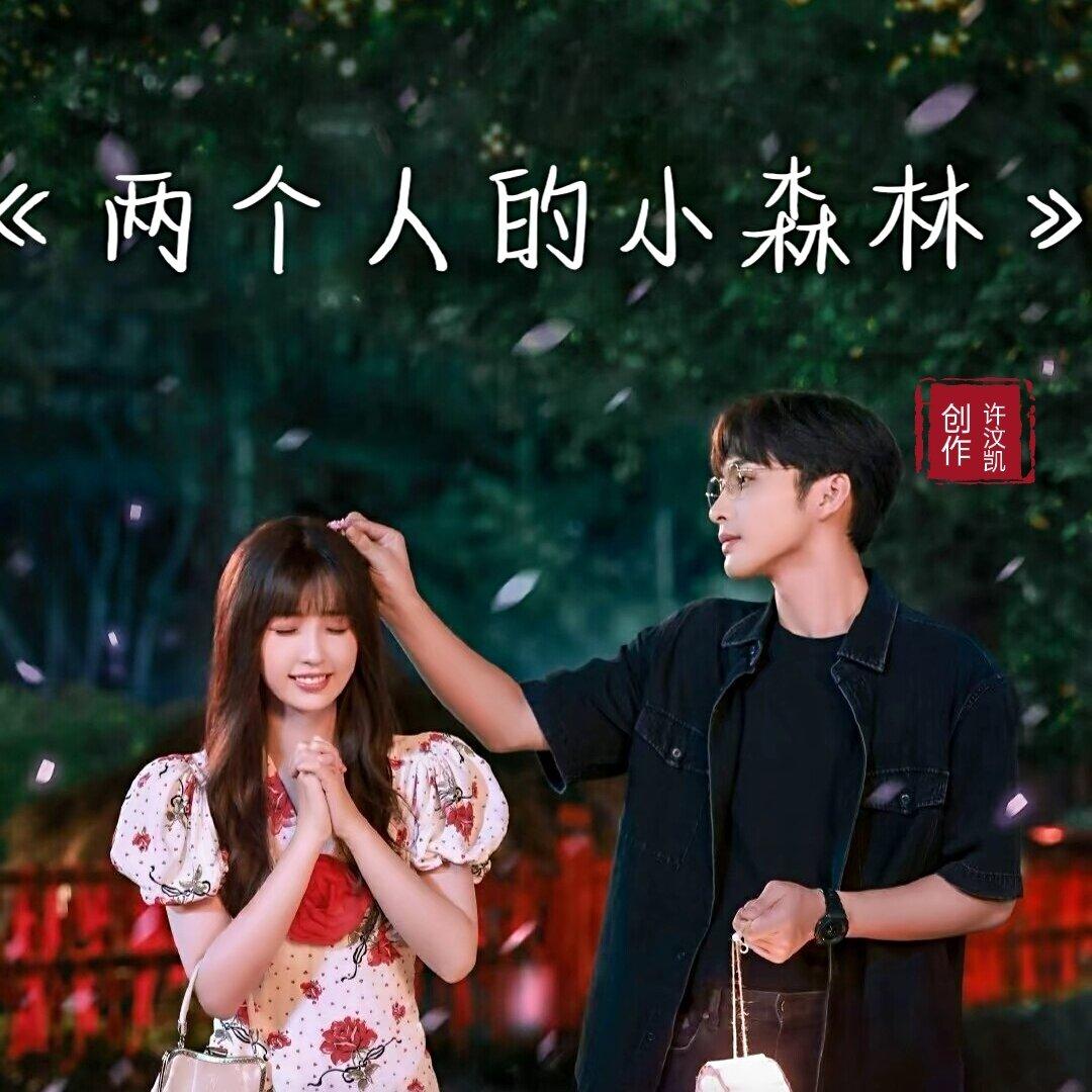 两个人的小森林影视原声专辑
