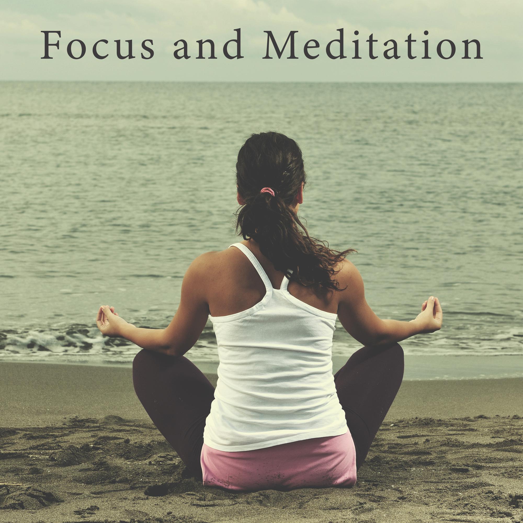 Focus and Meditation - Collection of 15 Ambient Tracks Dedicated to Contemplation and Total Relaxation of the Body and Mind, Nature Sounds, Yoga, Stretching