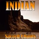 Indian Sound, Vol. 1专辑