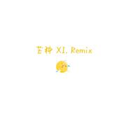 芒种 - Remix