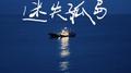 迷失孤岛专辑