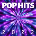 POP HITS 2022专辑