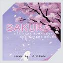 Sakura（樱花）【翻唱】