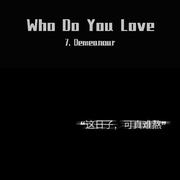 The Chainsmokers-Who Do You Love（7. Demeanour / Subai / LIUXIANSEN remix）