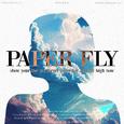 Paper Fly