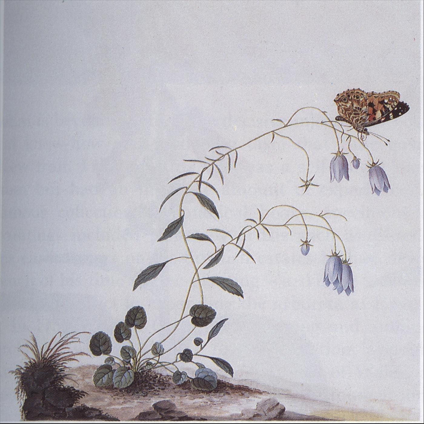 I: The Suicide Tree / II: A Rose from the Dead