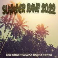 Summer Rave 2022 (25 Big Room EDM Hits)