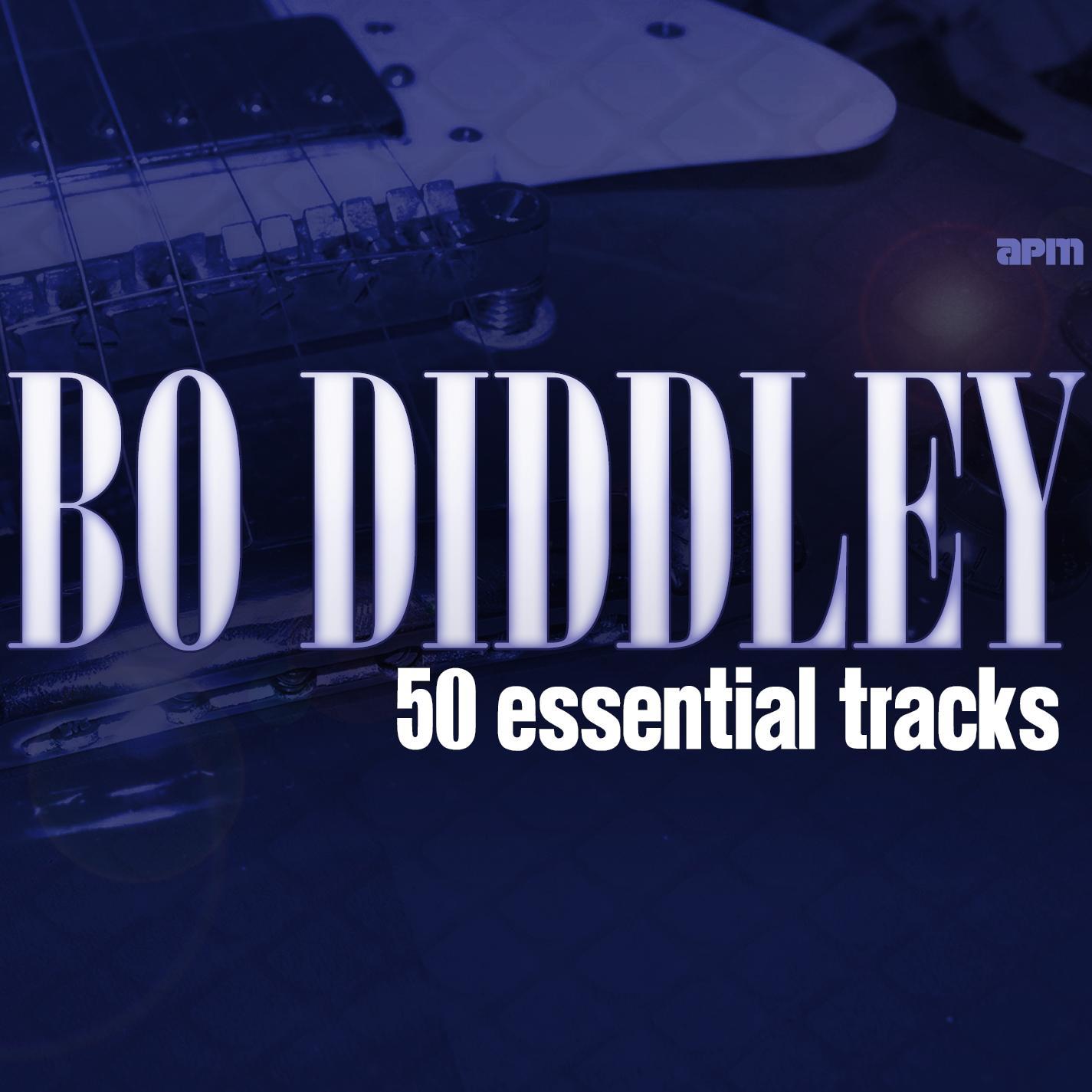 Bo Diddley - 50 Essential Tracks