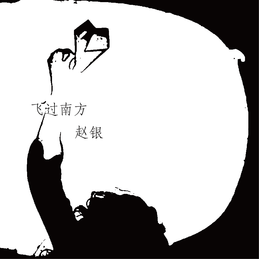 飞过南方专辑