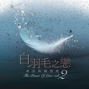 白羽毛之恋 华语典藏情歌 Vol.2专辑