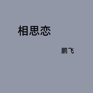 鹏飞 - 相思恋 (伴奏) （降8半音）