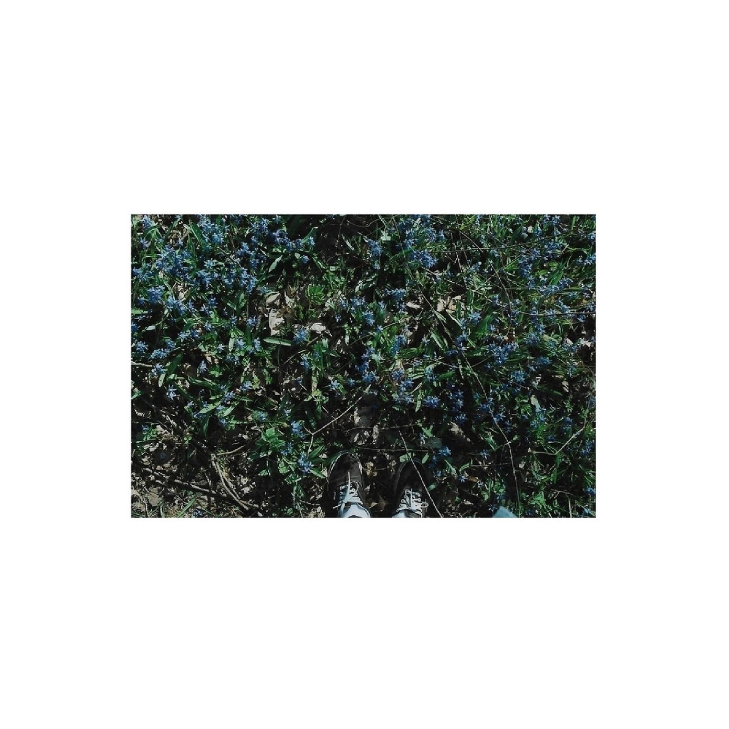 Memories of Ourselves with Each Other