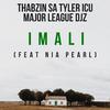 Thabzin SA - Imali