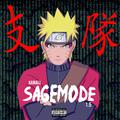 Sage Mode 1.5