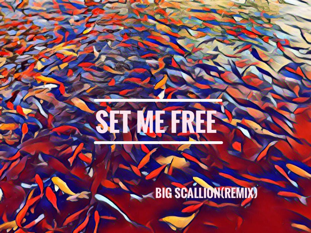 Set me free专辑