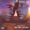 Stunner Bizzle - Secret Crush