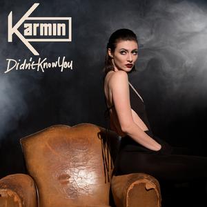 Karmin - Didn't Know You (Official Instrumental) 原版无和声伴奏