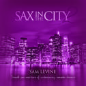Sax In The City 2: Smooth Jazz Renditions Of Contemporary Romantic Classics专辑