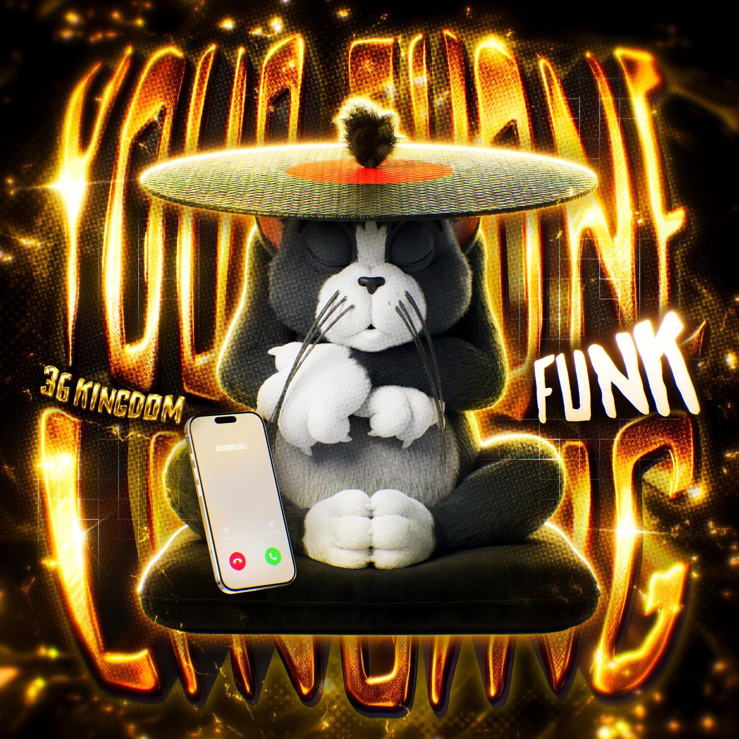 YOUR PHONE LINGING FUNK