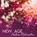 New Age Nature Relaxation专辑