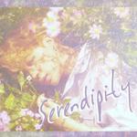 serendipity专辑