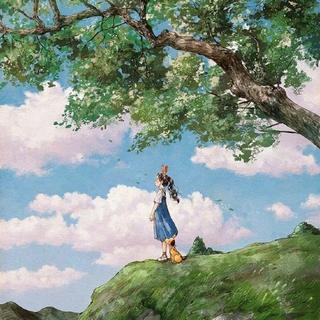 人间草木||最美的偶然纪
