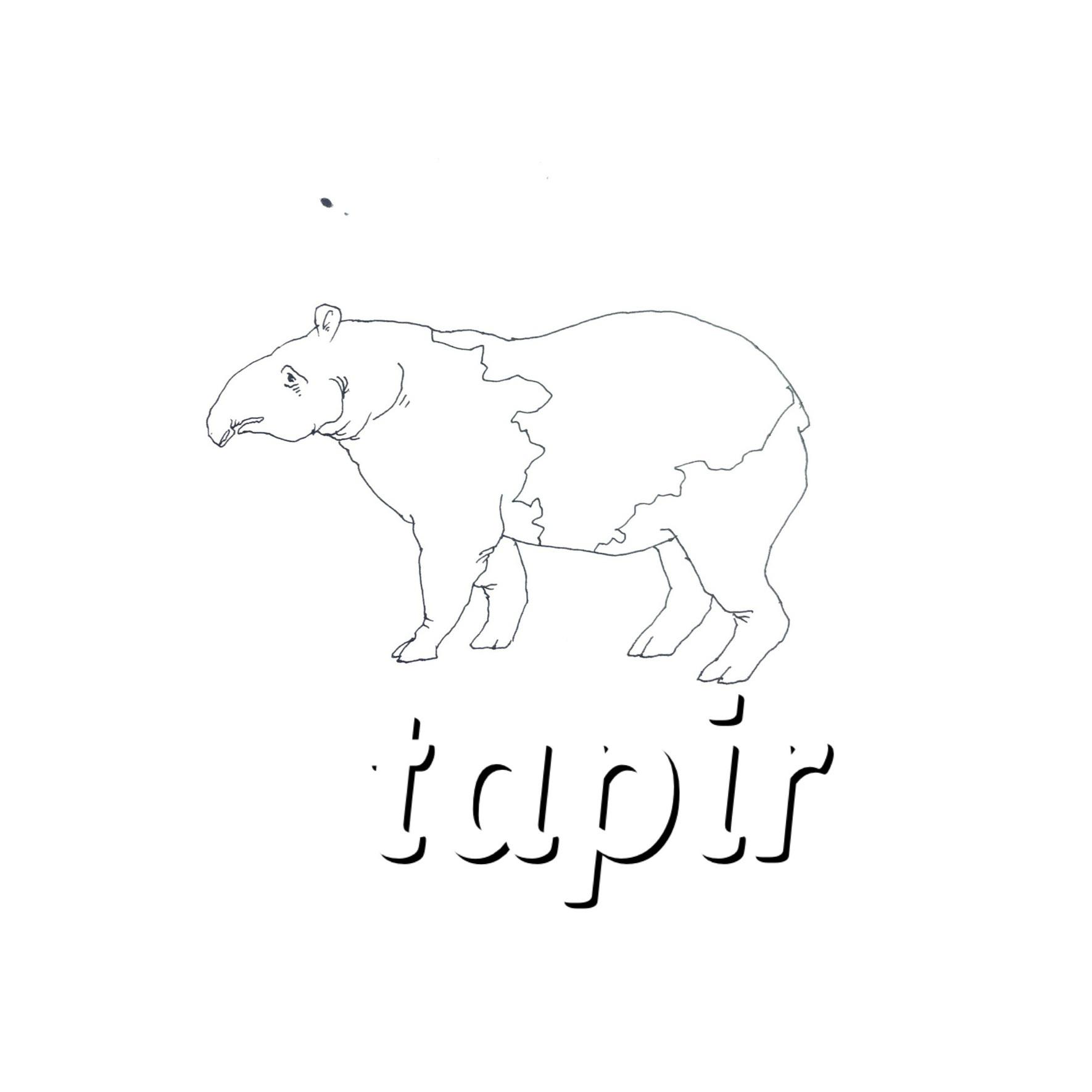 Tapir专辑