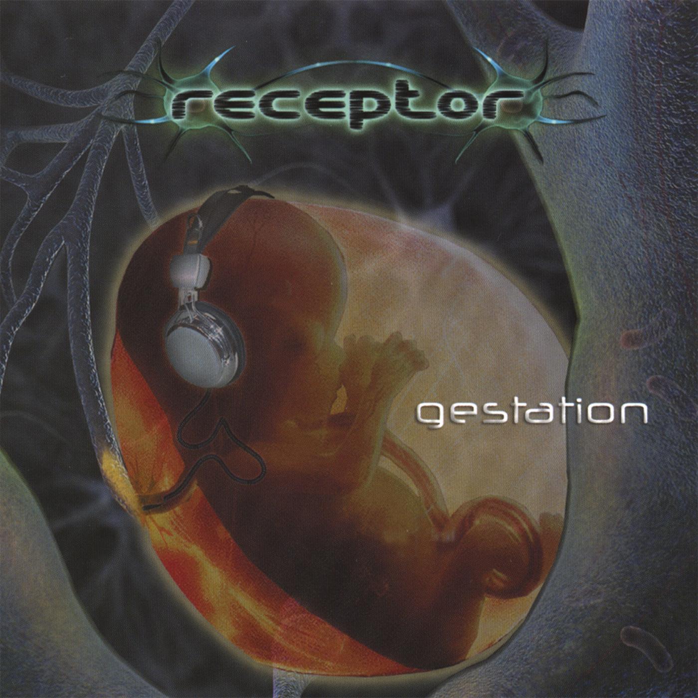 gestation