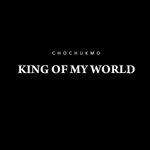 King of My World专辑