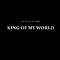 King of My World专辑