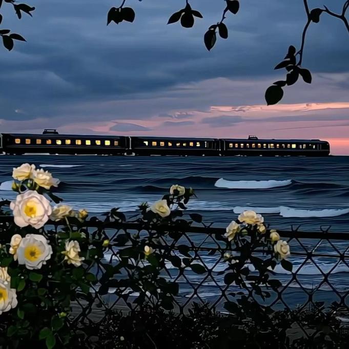 自称时间的天使