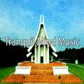 Tranquil Mind Music