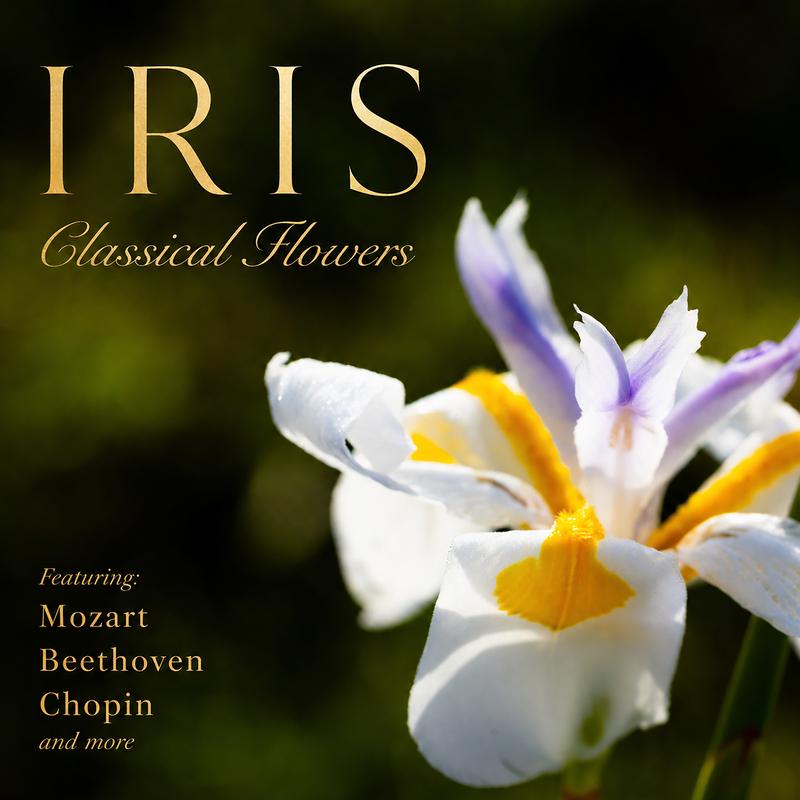 "'Iris: Classical Flowers" - Piano Music from Chopin to Schumann