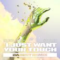 I Just Want Your Touch (Babert Remix)