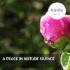 Natureland Mind Relaxing Music - Dance to the Sounds of Birds