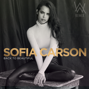 Back to Beautiful - Sofia Carson Ft. Alan Walker (HT karaoke) 带和声伴奏 （升5半音）