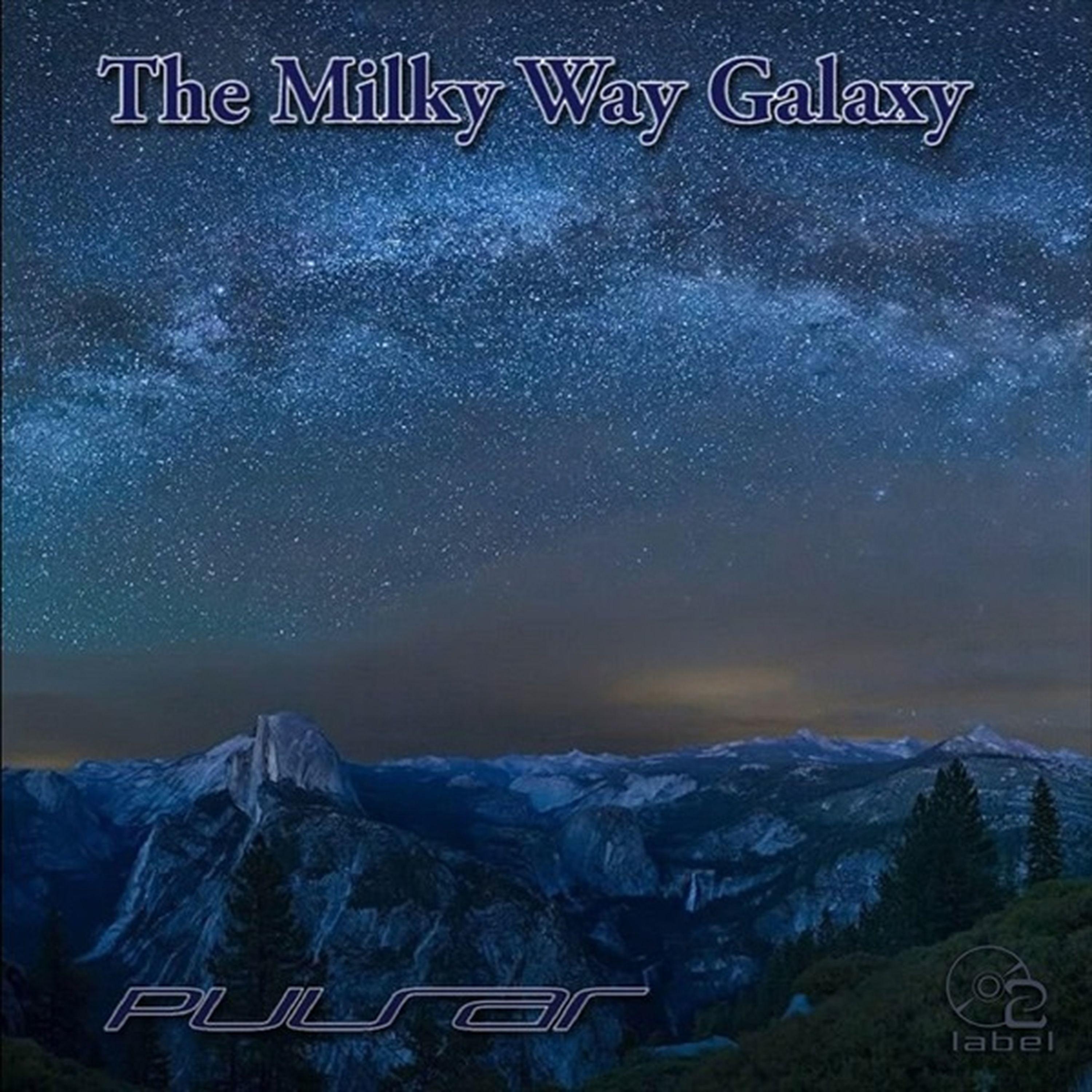 The Milky Way Galaxy