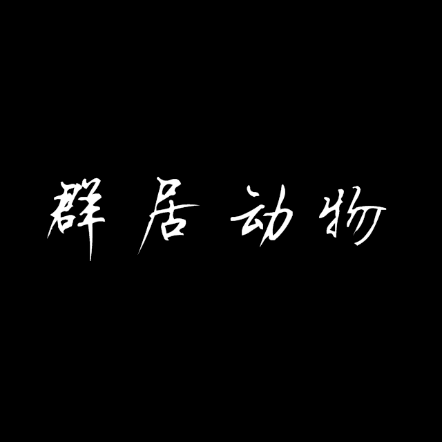 群居动物